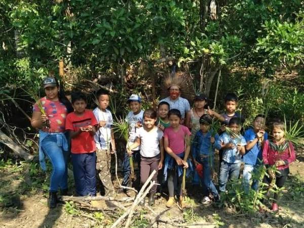 Crianças ajudam  reflorestar mata em aldeia de MS 